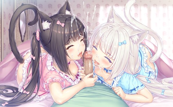 054_neko4_h01m