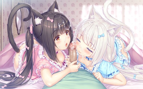 056_neko4_h01o