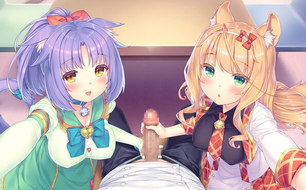 123_neko4_h05a