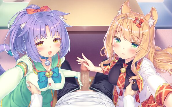 129_neko4_h05g