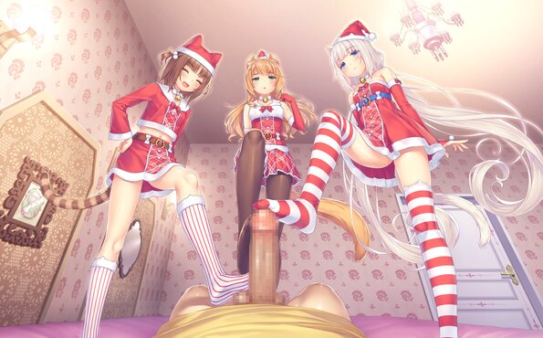 181_neko4_h09b