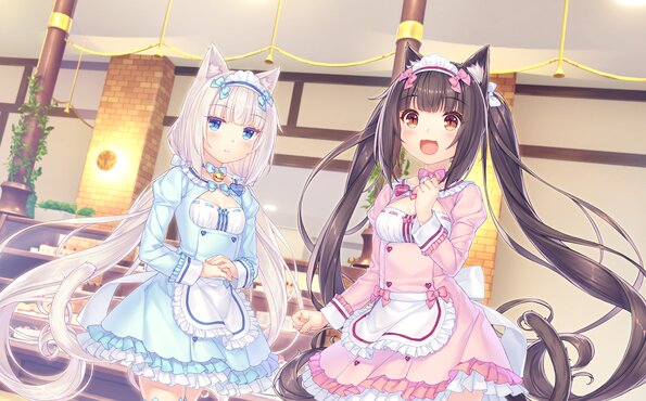 235_neko4_an01a