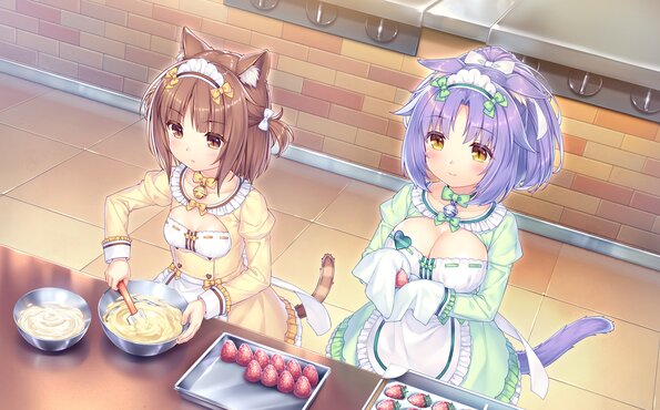 236_neko4_an02a