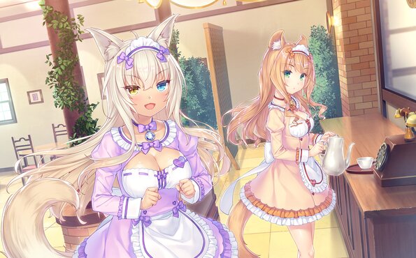 238_neko4_an03a