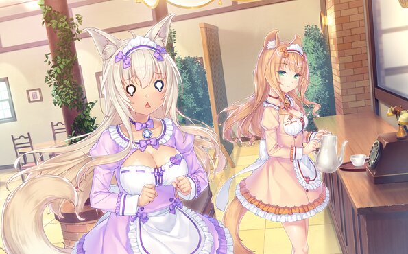 239_neko4_an03b