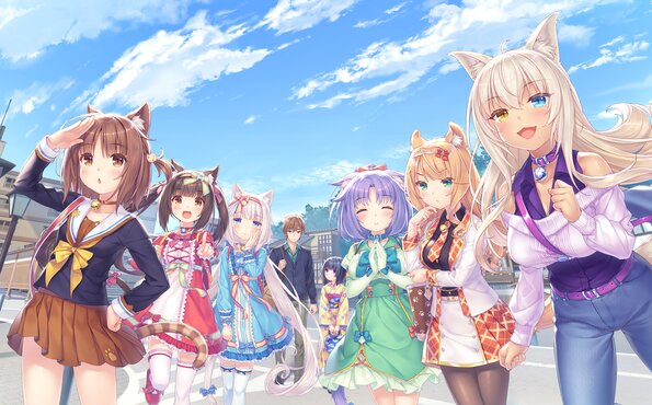 252_neko4_an08a