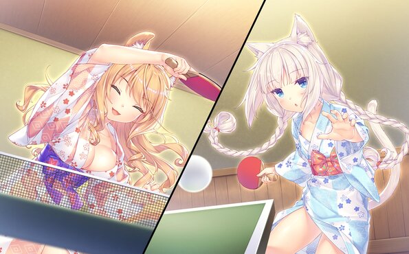 254_neko4_an09b