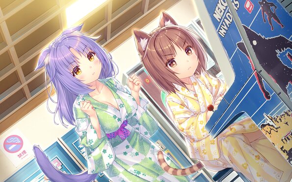 258_neko4_an10a