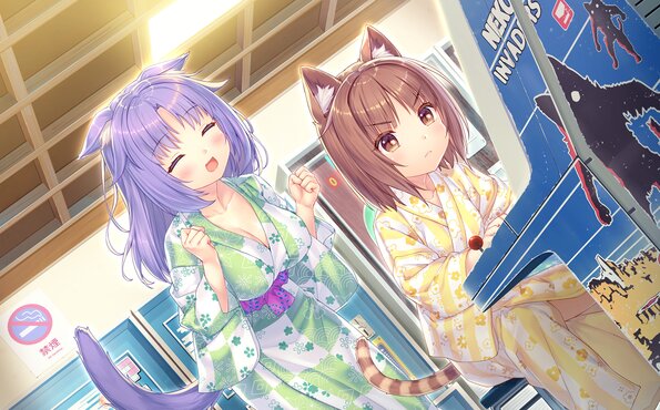 259_neko4_an10b
