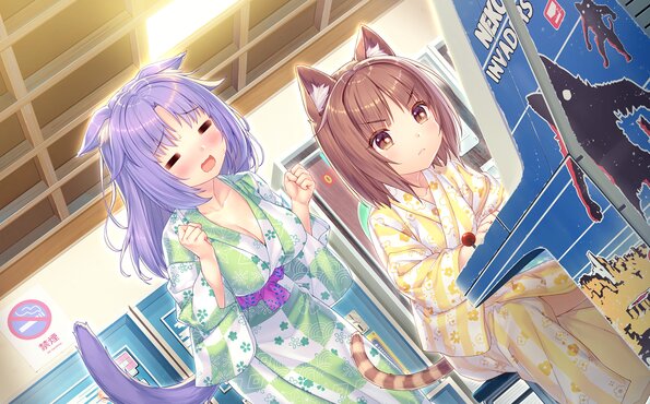 260_neko4_an10c