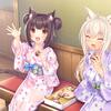 263_neko4_an11a