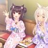 265_neko4_an11c