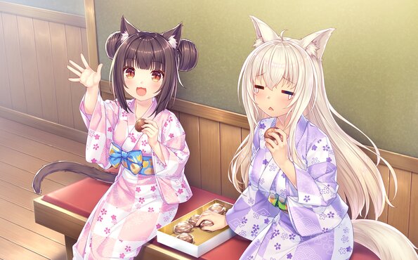 265_neko4_an11c