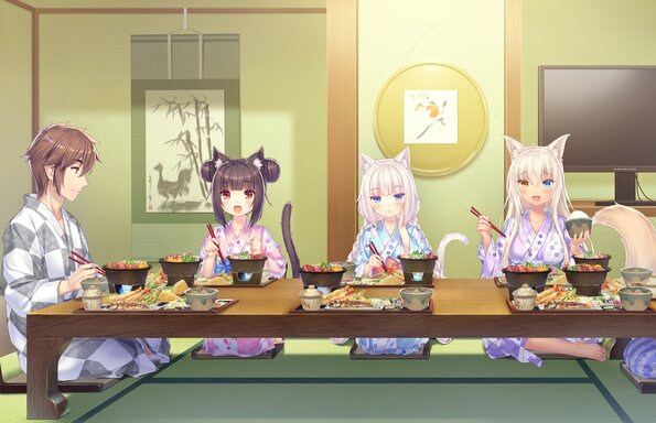 269_neko4_an13a