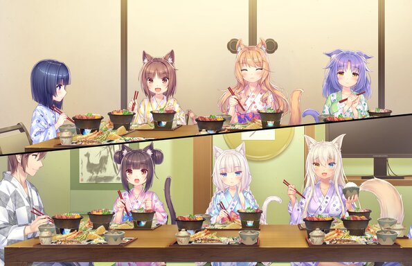 271_neko4_an13c