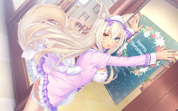 278_neko4_an15b