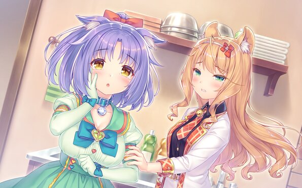 285_neko4_an19b