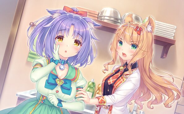 286_neko4_an19c