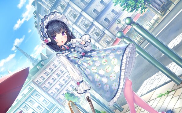 291_neko4_an21c