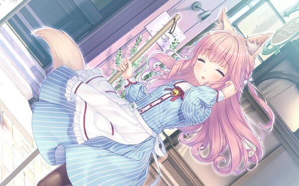 294_neko4_an22c