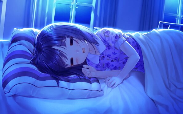 305_neko4_an26f
