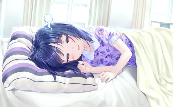 308_neko4_an26i