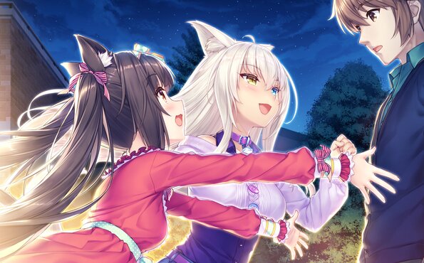317_neko4_an31a