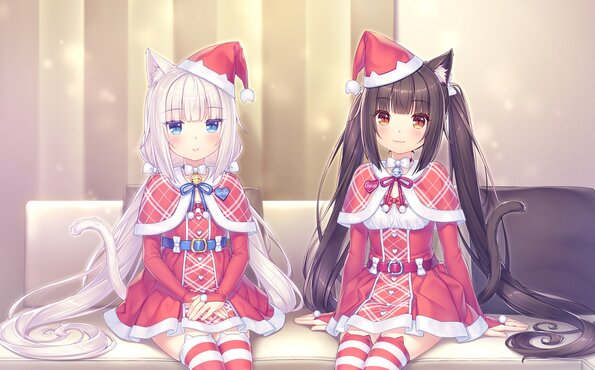 328_neko4_an36a