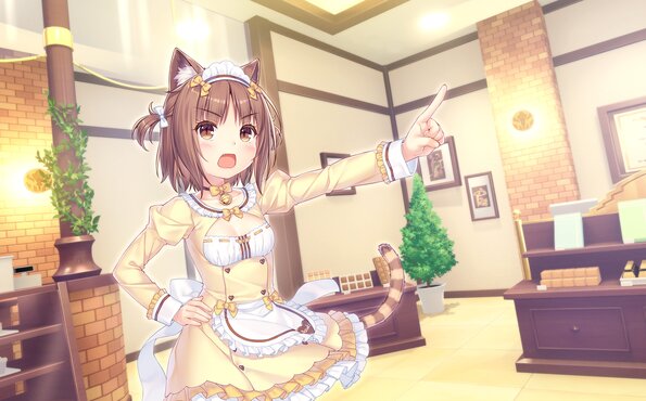 329_neko4_an37a