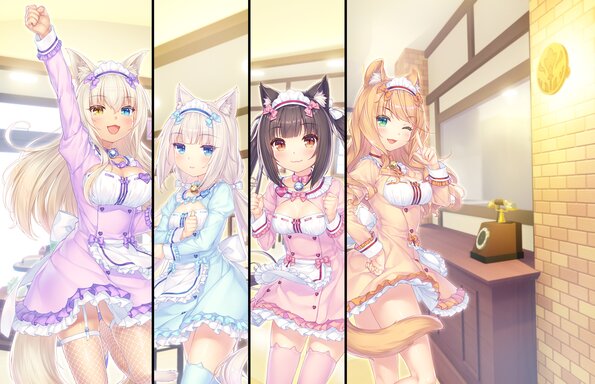 338_neko4_an38d