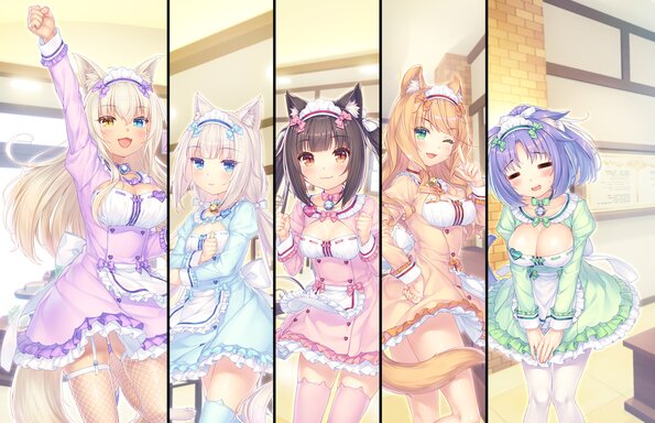 340_neko4_an38f