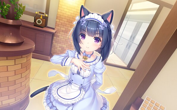 341_neko4_an39a