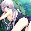 ev_ginko_13a