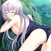 ev_ginko_13b
