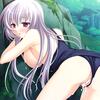 ev_ginko_13e