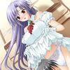 vgai_02b